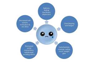 How to Manage Seasonal Affective Disorder (SAD) - Blog by Elite Training Facility